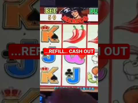 wildsino reviews
