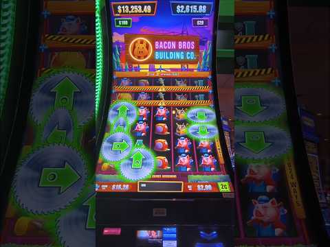 spin rise spin for beginners