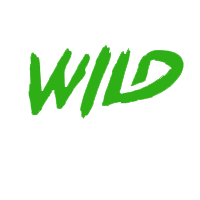 wildsino erfahrungen